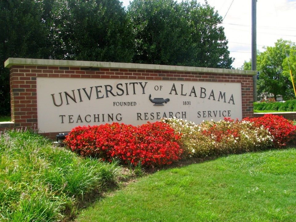 THE UNIVERSITY OF ALABAMA